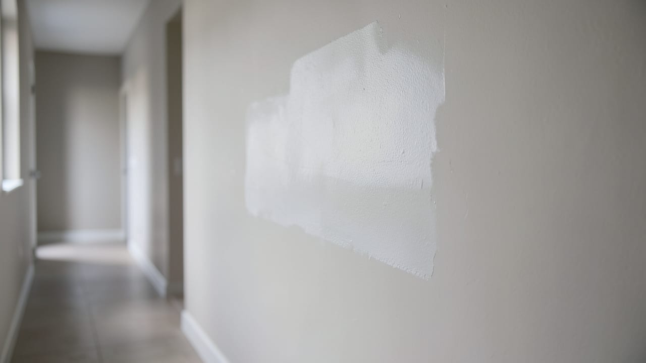 Drywall Mold Remediation in Agoura Hills, CA in Agoura Hills