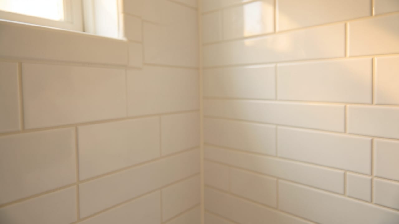 Bathroom Mold Removal in Ardmore, OK in Ardmore