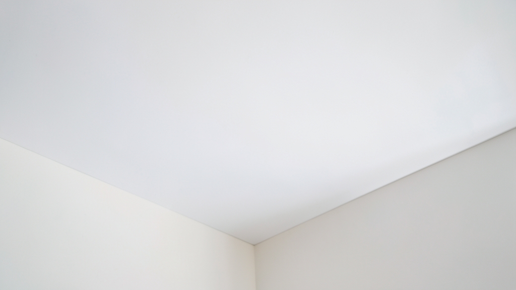 How Poor Ventilation Fuels Mold Growth in Barnstead Basements
