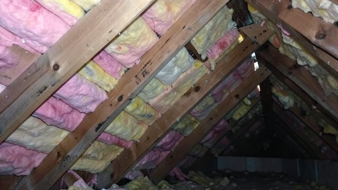 Attic Mold Remediation in Belleair Shores, FL in Belleair Shores