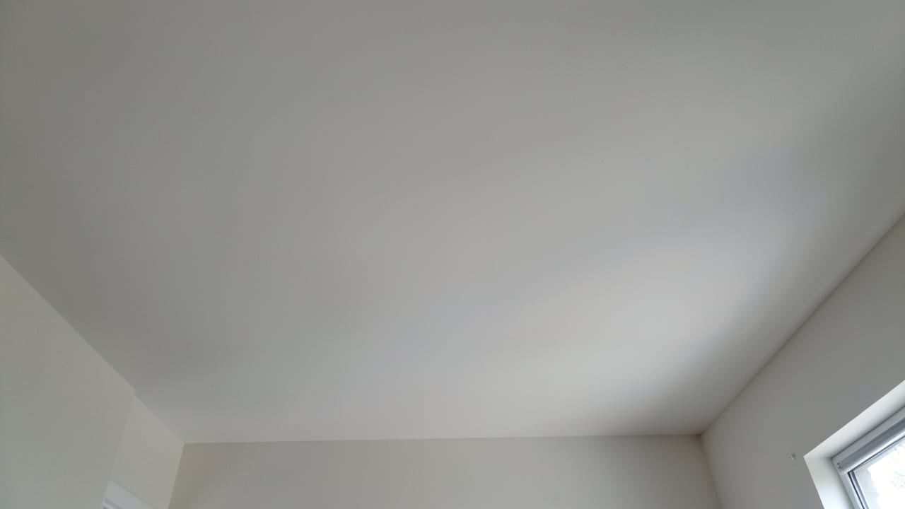 Ceiling Mold Removal in Belleair Shores, FL in Belleair Shores