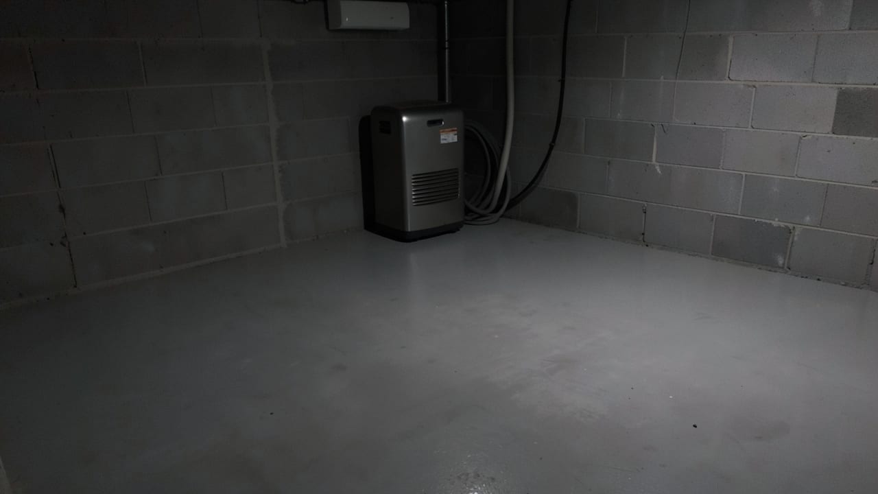 Concrete Mold Remediation in Belleair Shores, FL in Belleair Shores