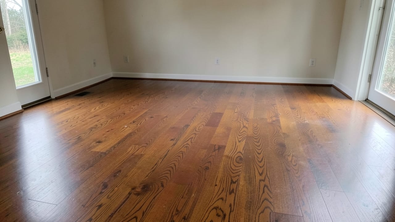 Flood Damage Mold Remediation in Belleair Shores, FL in Belleair Shores