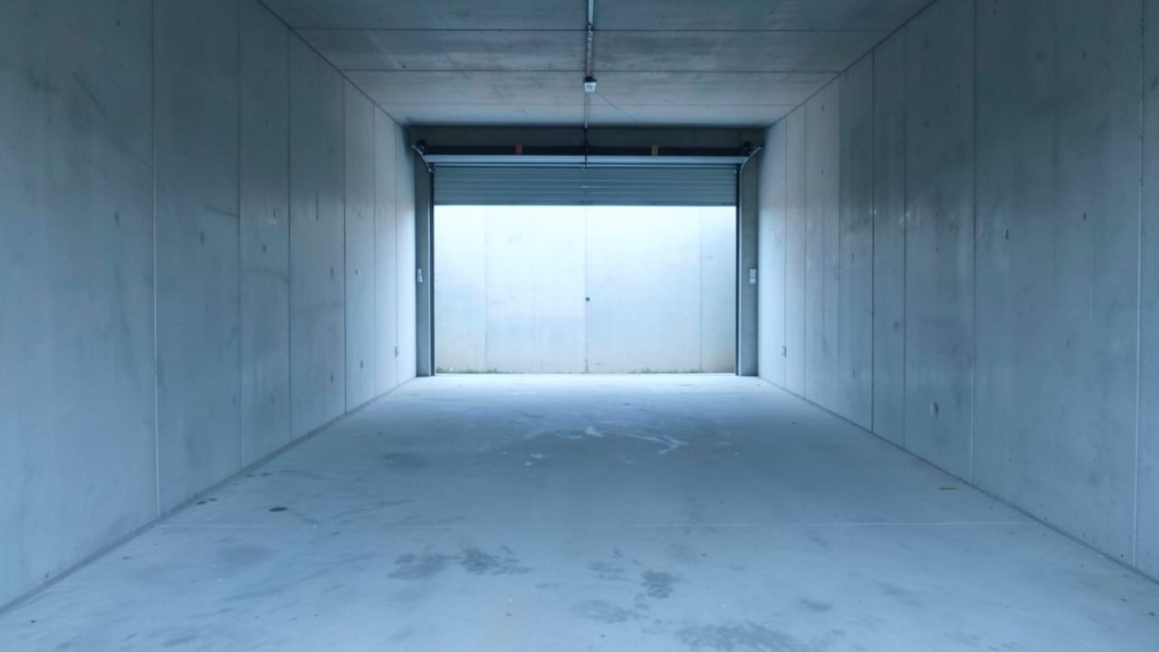 Garage Mold Removal in Belleair Shores, FL in Belleair Shores