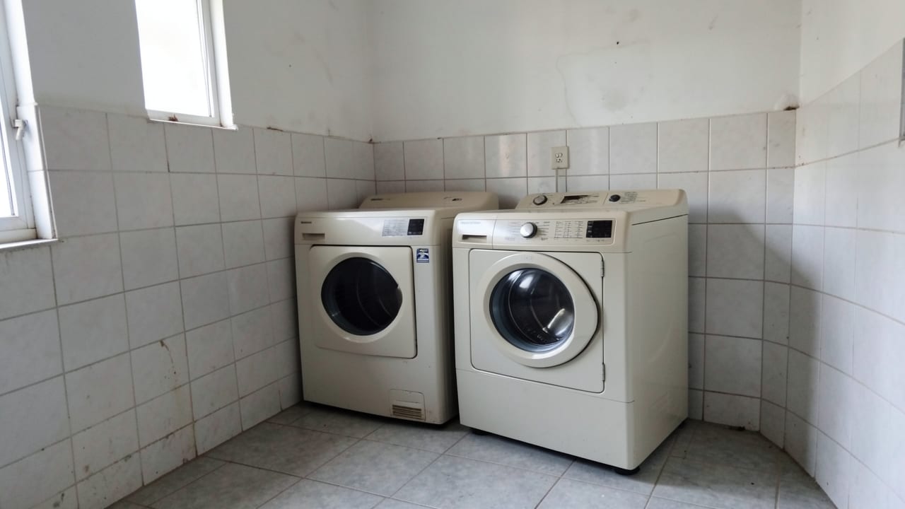 Laundry Room Mold Cleanup in Belleair Shores, FL in Belleair Shores