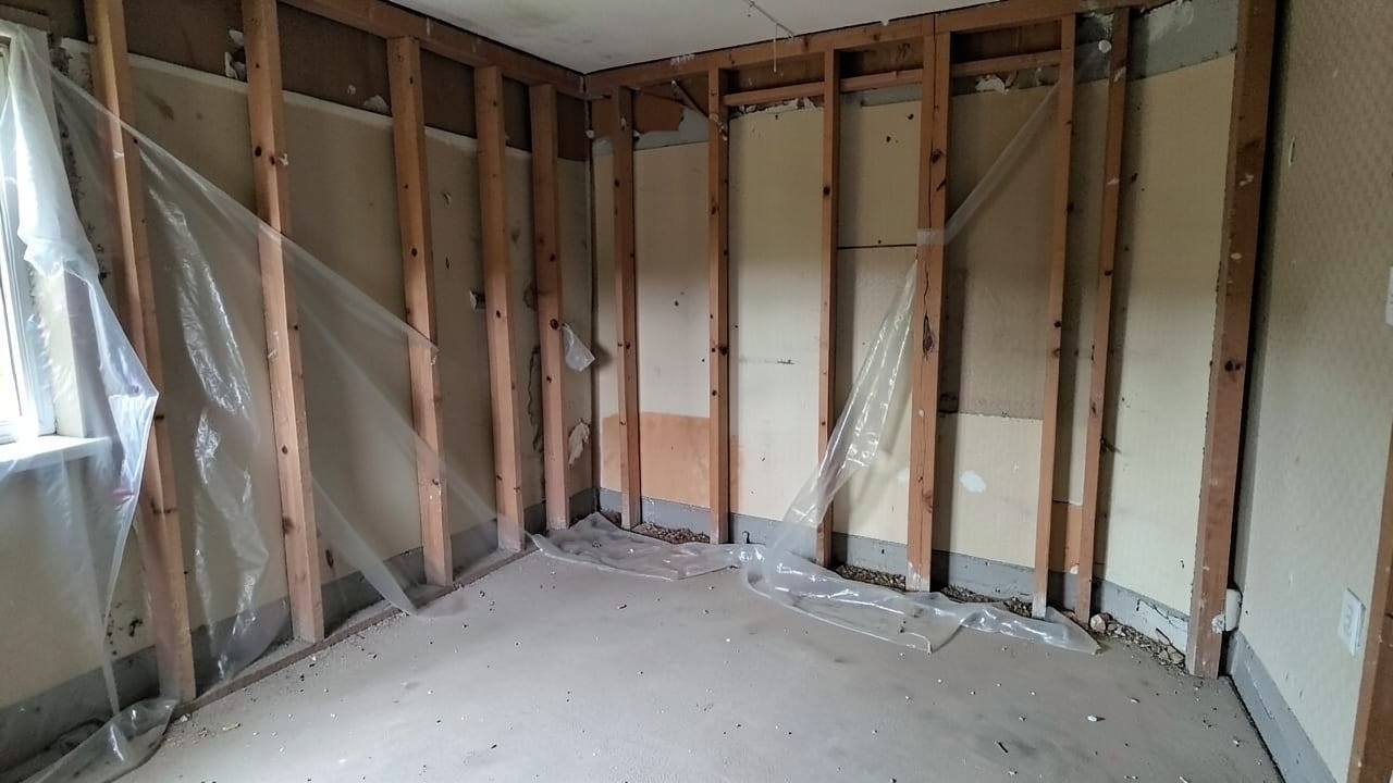 Mold Removal & Remediation in Belleair Shores, FL in Belleair Shores