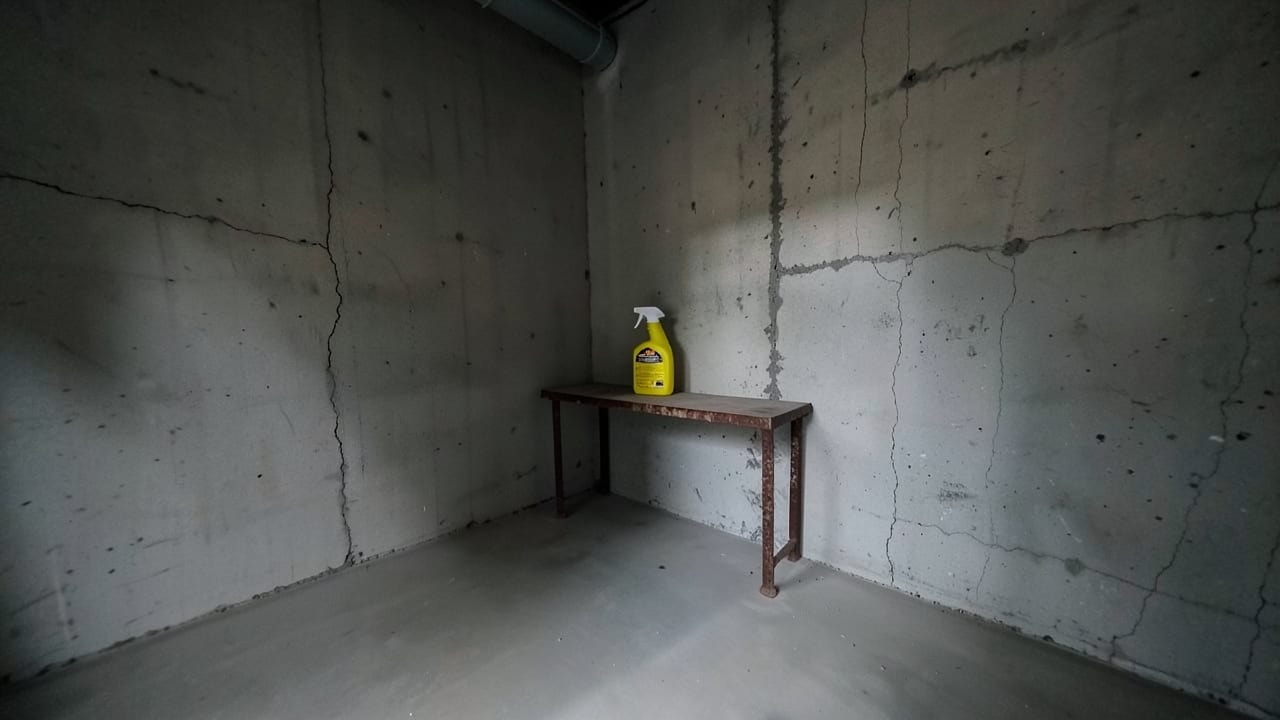Pest Infestation Mold Remediation in Belleair Shores, FL in Belleair Shores