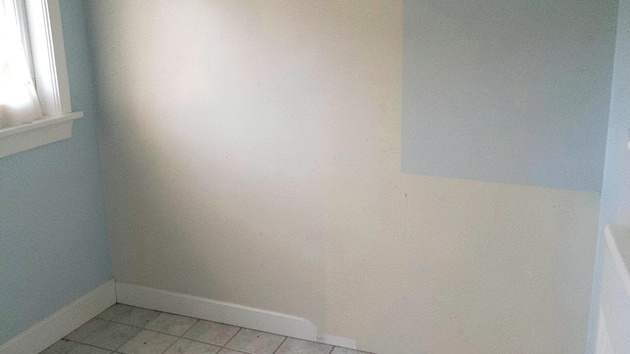 Pipe Leak Mold Removal in Belleair Shores, FL in Belleair Shores