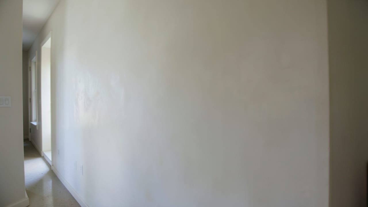 Plaster Mold Remediation in Belleair Shores, FL in Belleair Shores