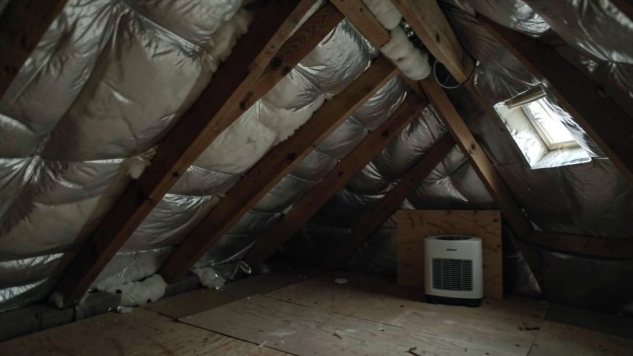 Pre-Winter Mold Prevention in Belleair Shores, FL in Belleair Shores