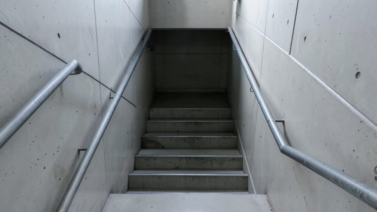 Stairwell Mold Remediation in Belleair Shores, FL in Belleair Shores