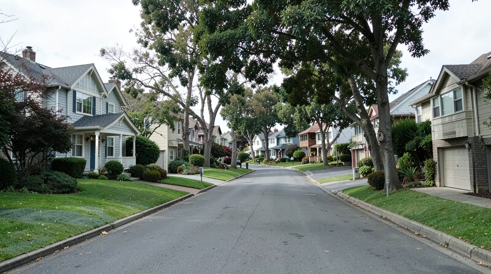 Mold Remediation in Redwood Shores, CA