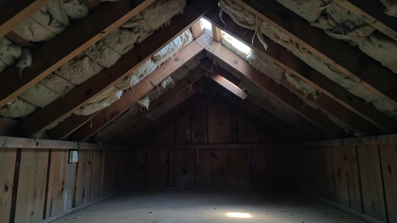 Attic Mold Remediation in Belmont, CA in Belmont