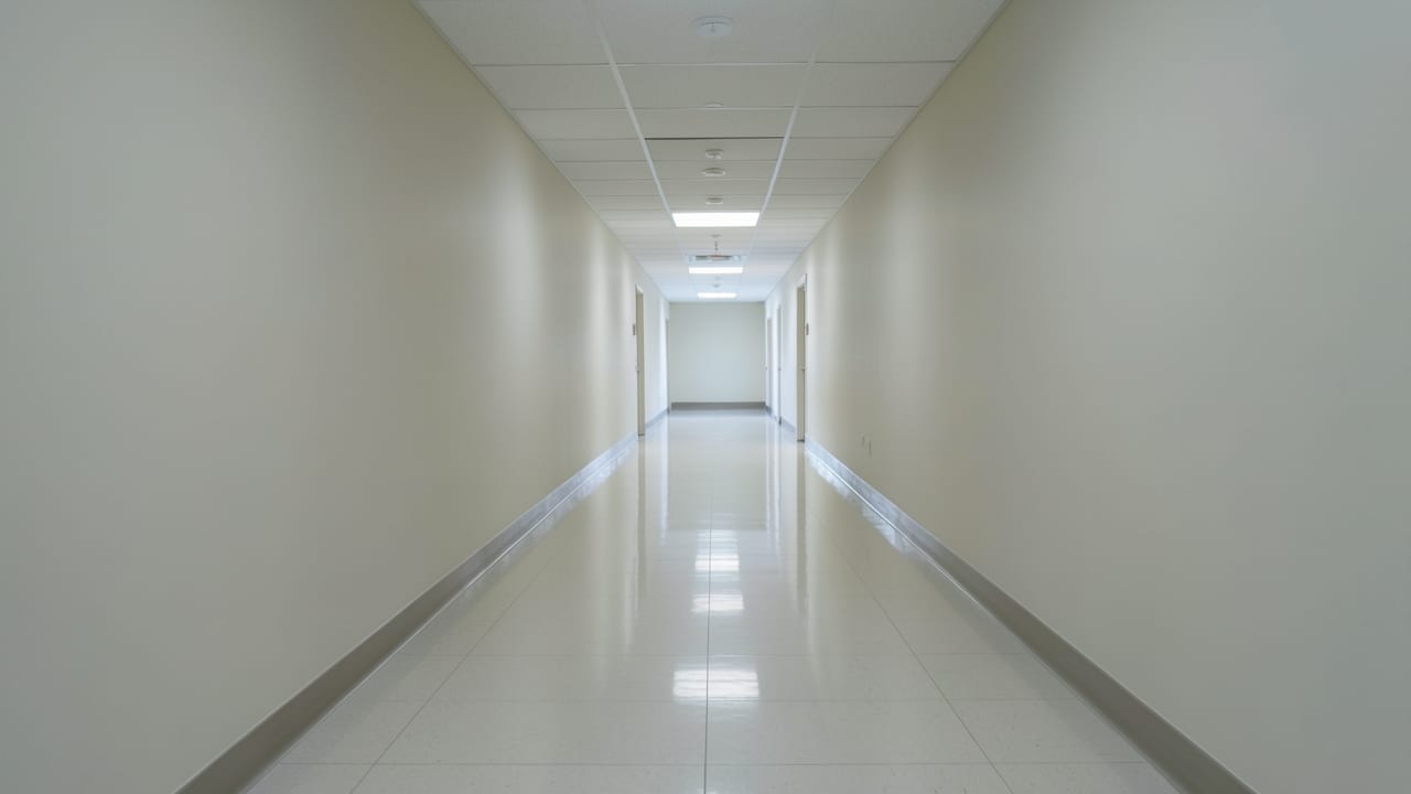 Hospital Mold Removal in Belmont, CA in Belmont