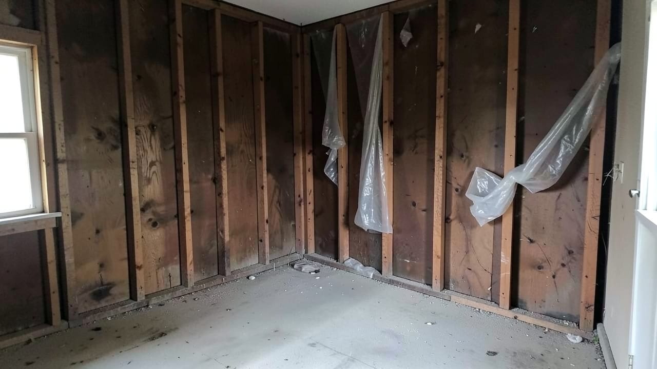 Mold Removal & Remediation in Belmont, CA in Belmont
