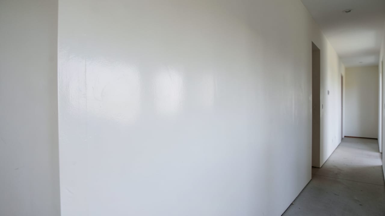 Plaster Mold Remediation in Belmont, CA in Belmont