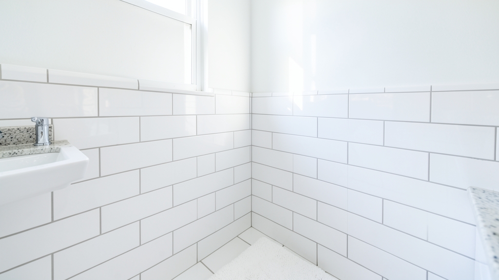 DIY vs. Professional Mold Removal: What Clayton Homeowners Need to Know