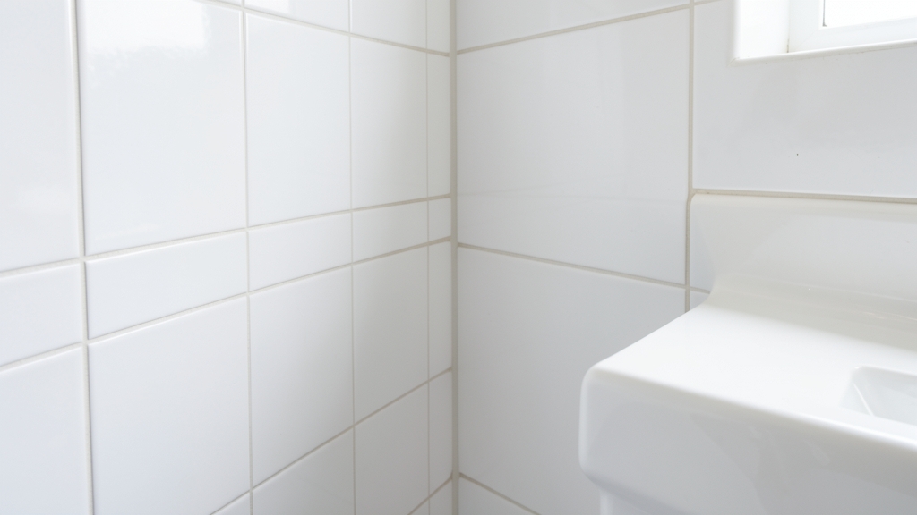 Why Professional Mold Clearance Testing in Clayton Beats