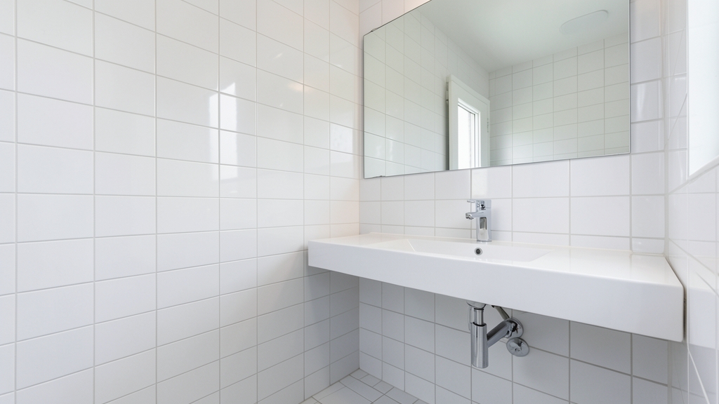 The Science Behind Mold and Mildew Growth in Clayton