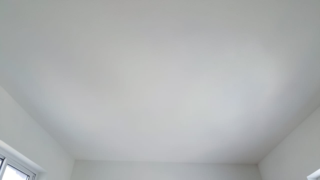 Ceiling Mold Removal in Clayton, NC in Clayton