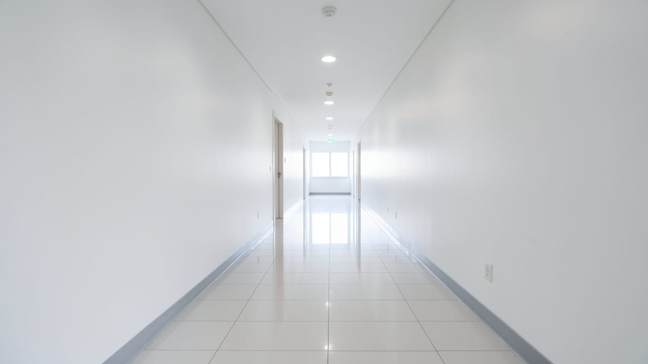 Hospital Mold Removal in Clayton, NC in Clayton