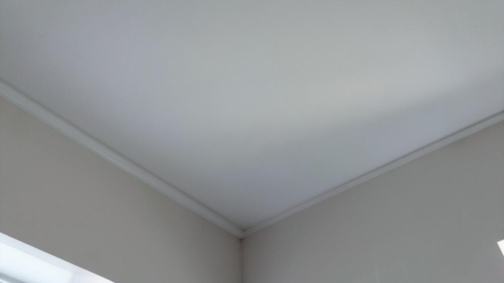Can Mold in Your Clermont Home Cause Permanent Damage?