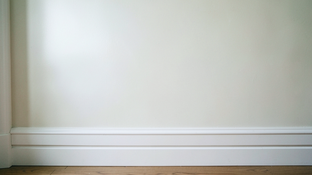 Commercial Mold Remediation in Clermont: Seasonal Risks and Prevention Strategies