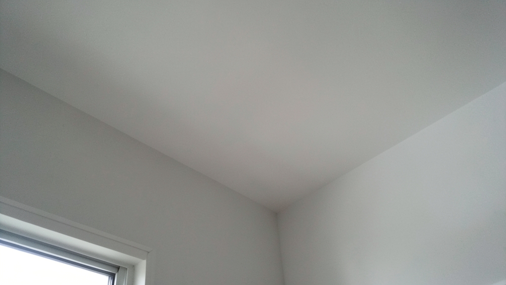 The Hidden Cost of Skipping Professional Mold Remediation in Clermont