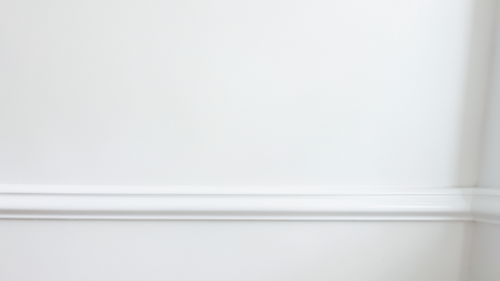 Why DIY Mildew Removal Works But Mold Needs a Pro in Clermont