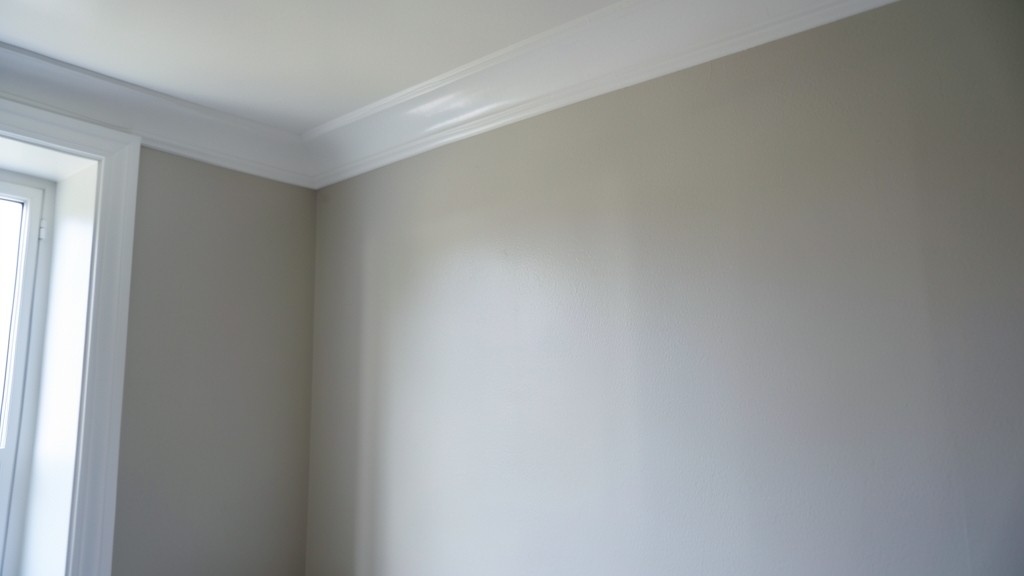 The Hidden Risks of Skipping Clearance Testing in Mold Remediation in Clermont