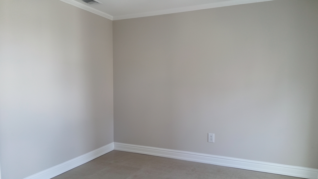 How Fast Does Mold Spread and What It Means for Your Clermont Home