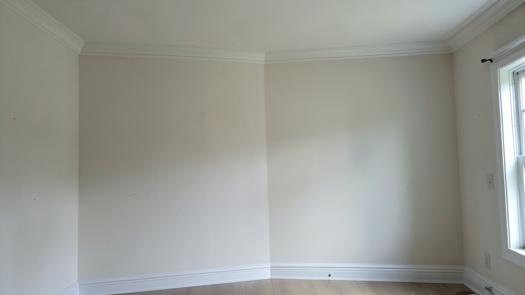 How Professionals Seal Off Mold Contamination in Clermont Homes