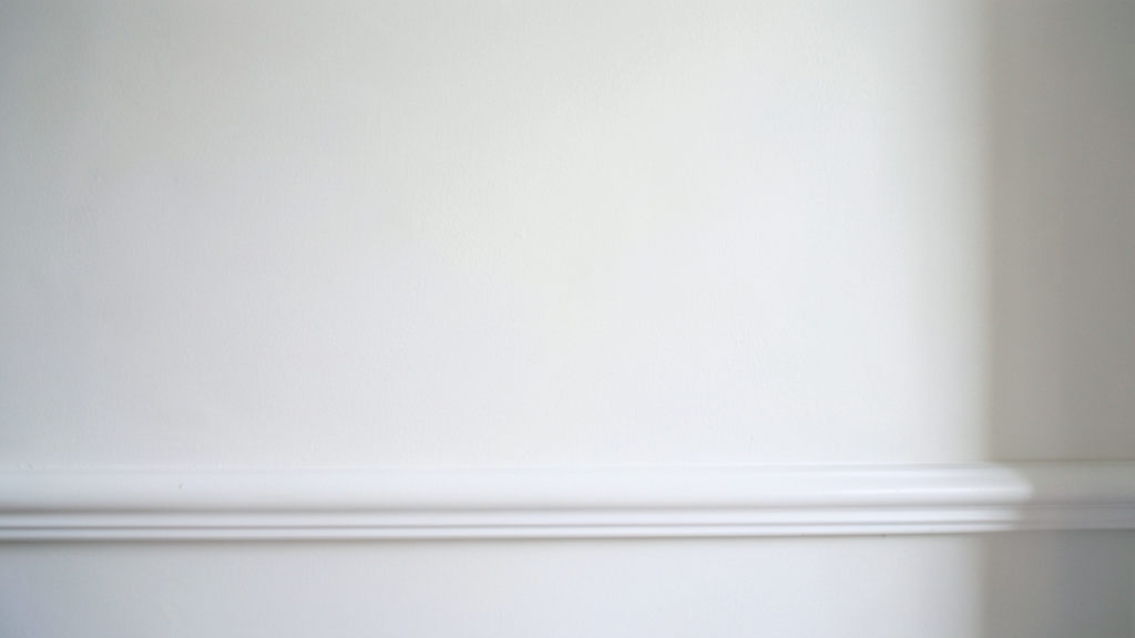 How to Verify Mold Levels Are Safe in Your Clermont Property