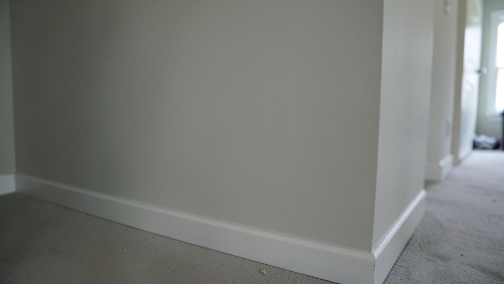Is DIY Mold Removal Worth It? A Cost Analysis for Clermont Homeowners