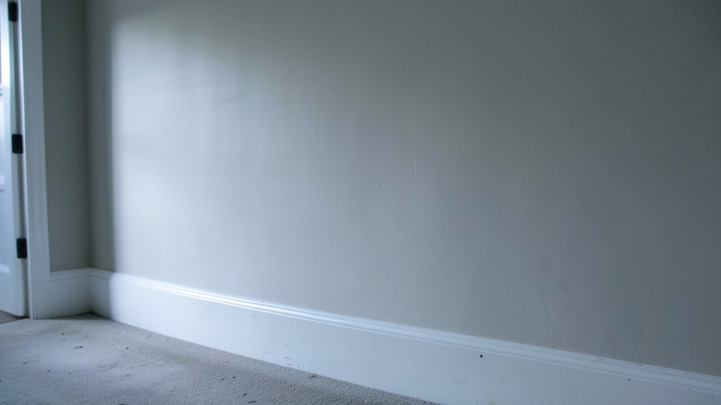 The Legal Risks of Improper Mold Remediation for Clermont Property Owners