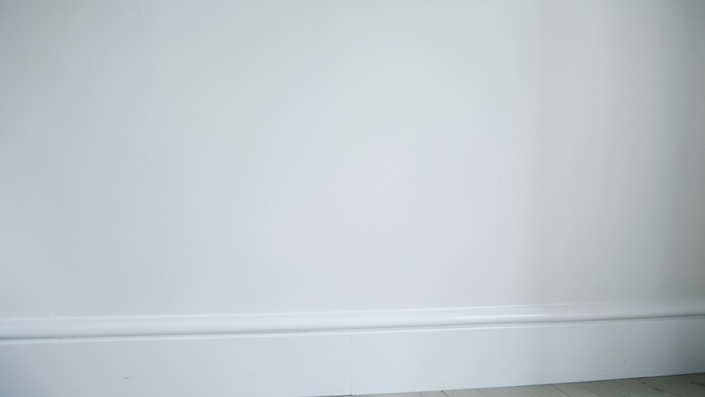 Mold Behind Drywall: Removal Costs and Structural Impact in Clermont