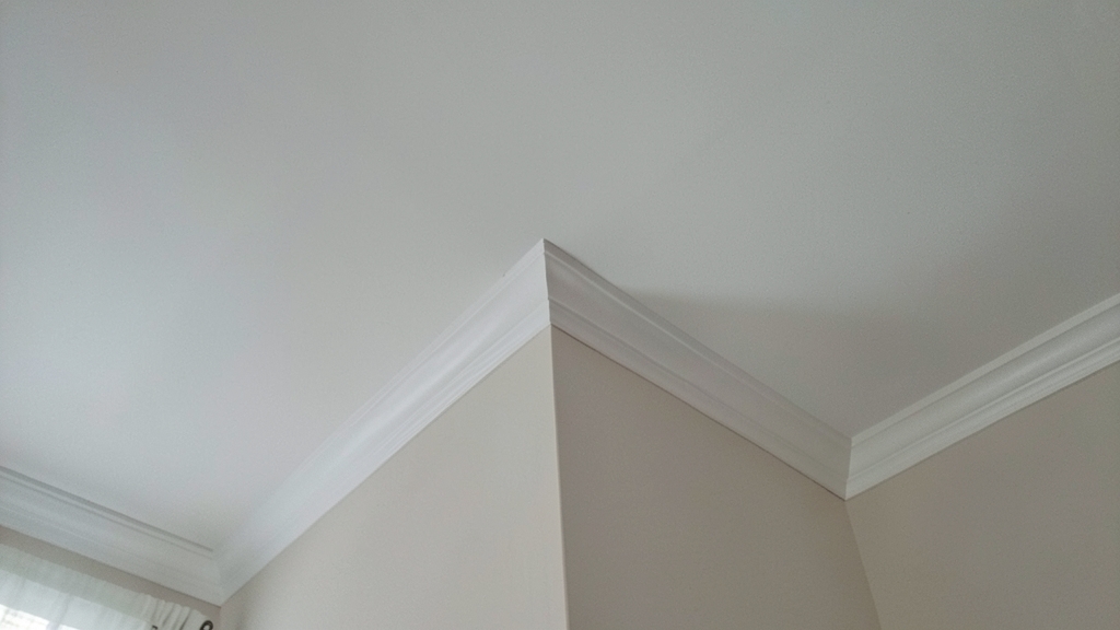 The True Cost of Mold Damage: Remediation vs. Repairs in Clermont