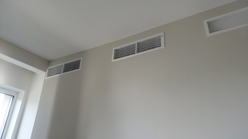 How Mold Affects Vulnerable Groups Like Children and the Elderly in Clermont