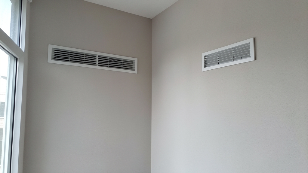 The Proper Protective Gear You’re Missing in DIY Mold Removal in Clermont