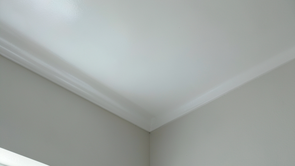 When to Expect Additional Fees for Mold Testing and Inspections in Clermont Mold Remediation