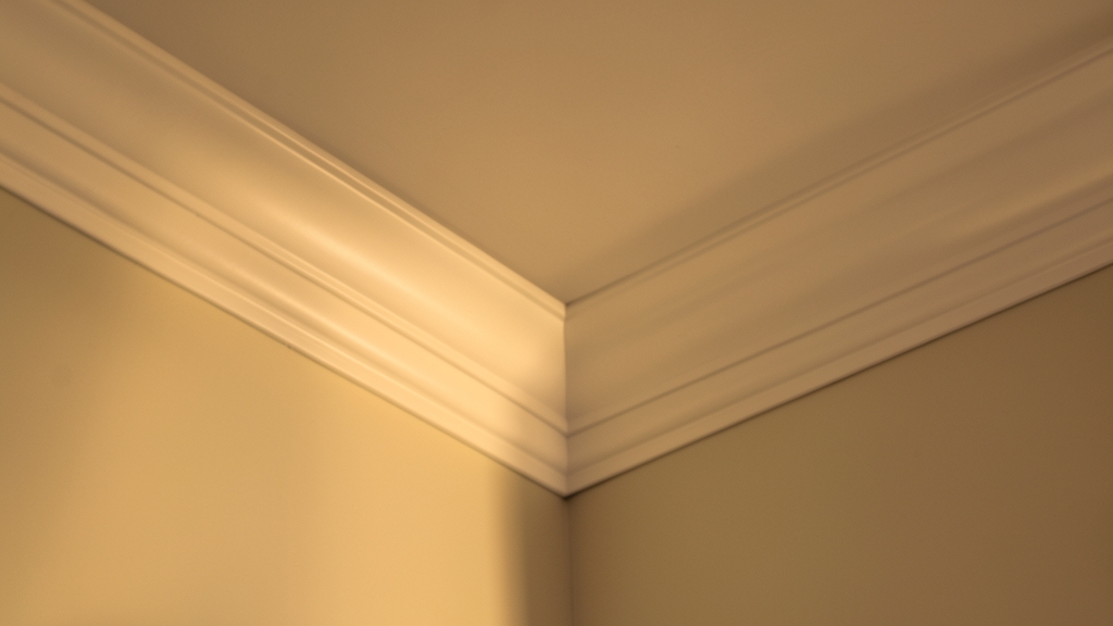 How to Choose the Right Antimicrobial Products for Mold Removal in Fort Lauderdale