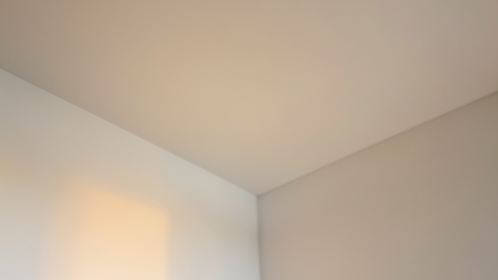 Fort Lauderdale Landlords: Mold, Tenant Rights, and Your Legal Responsibilities