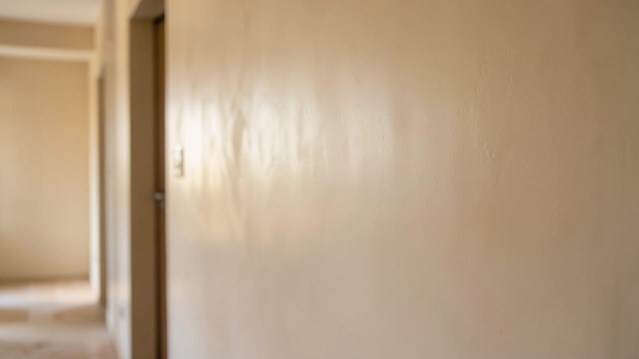Plaster Mold Remediation in Fort Lauderdale, FL in Fort Lauderdale