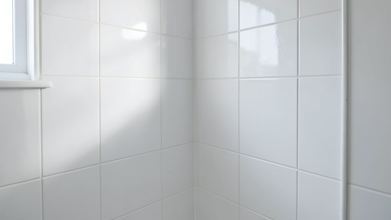 Bathroom Mold Removal in Lehi, UT in Lehi