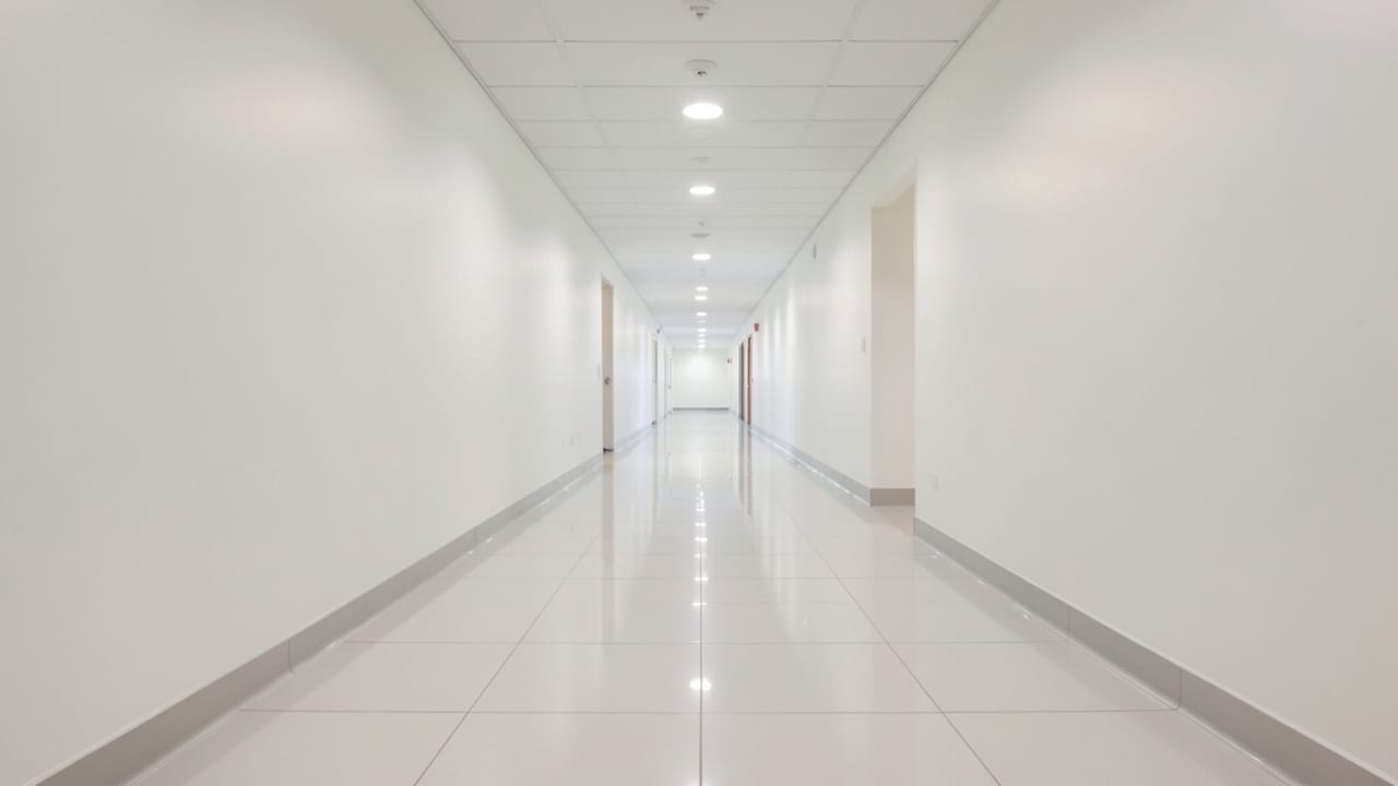 Hospital Mold Removal in Lehi, UT in Lehi