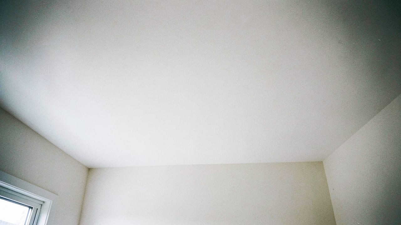 Ceiling Mold Removal in Maple Shade, NJ in Maple Shade