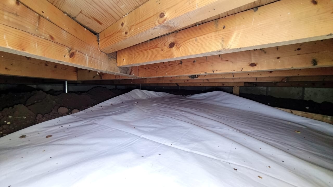 Crawl Space & Basement Mold Remediation in Maple Shade, NJ in Maple Shade