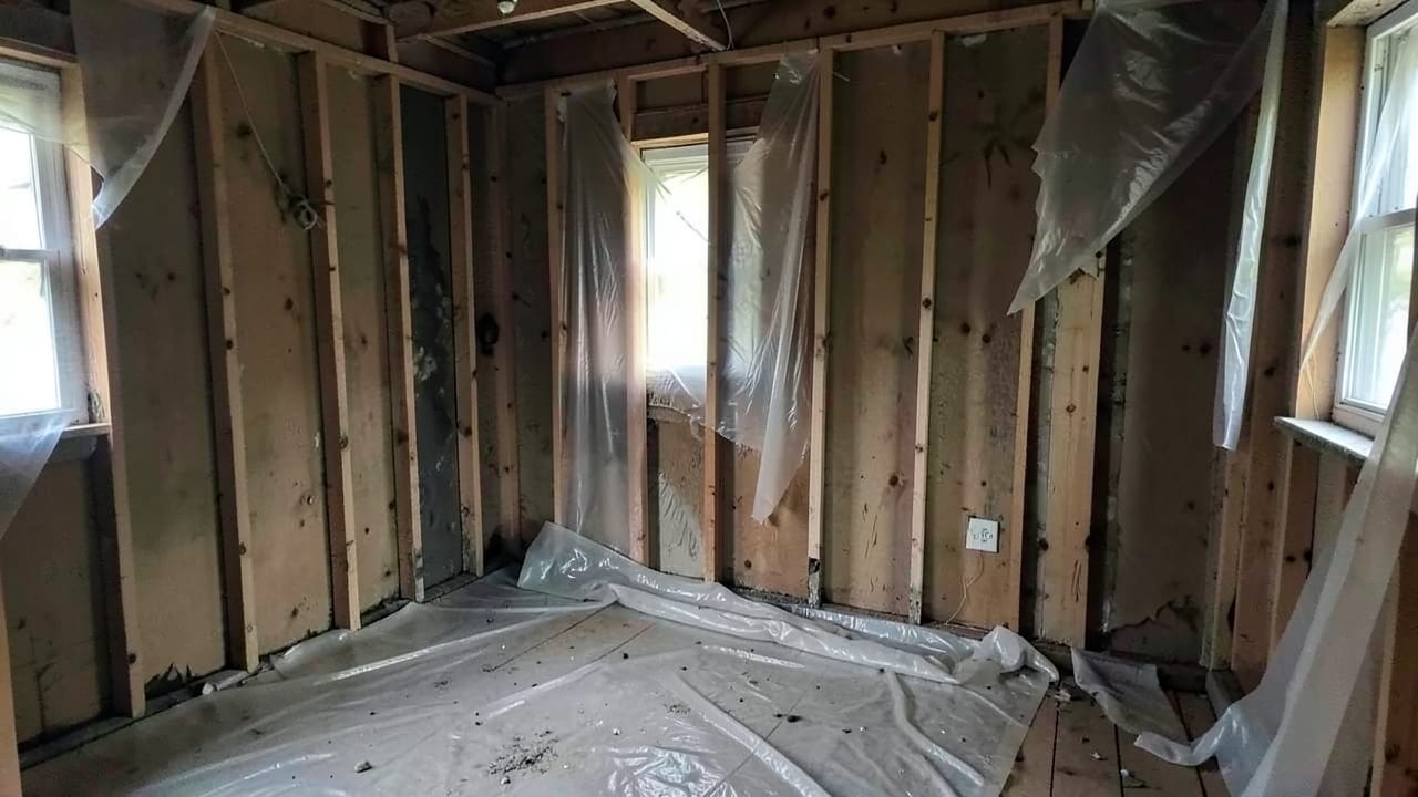 Mold Removal & Remediation in Maple Shade, NJ in Maple Shade
