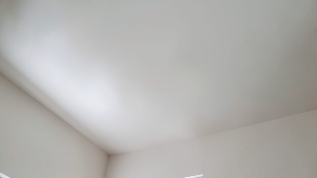 Ceiling Mold Removal in Mount Holly, NJ in Mount Holly