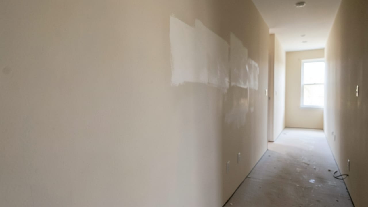 Drywall Mold Remediation in Mount Holly, NJ in Mount Holly
